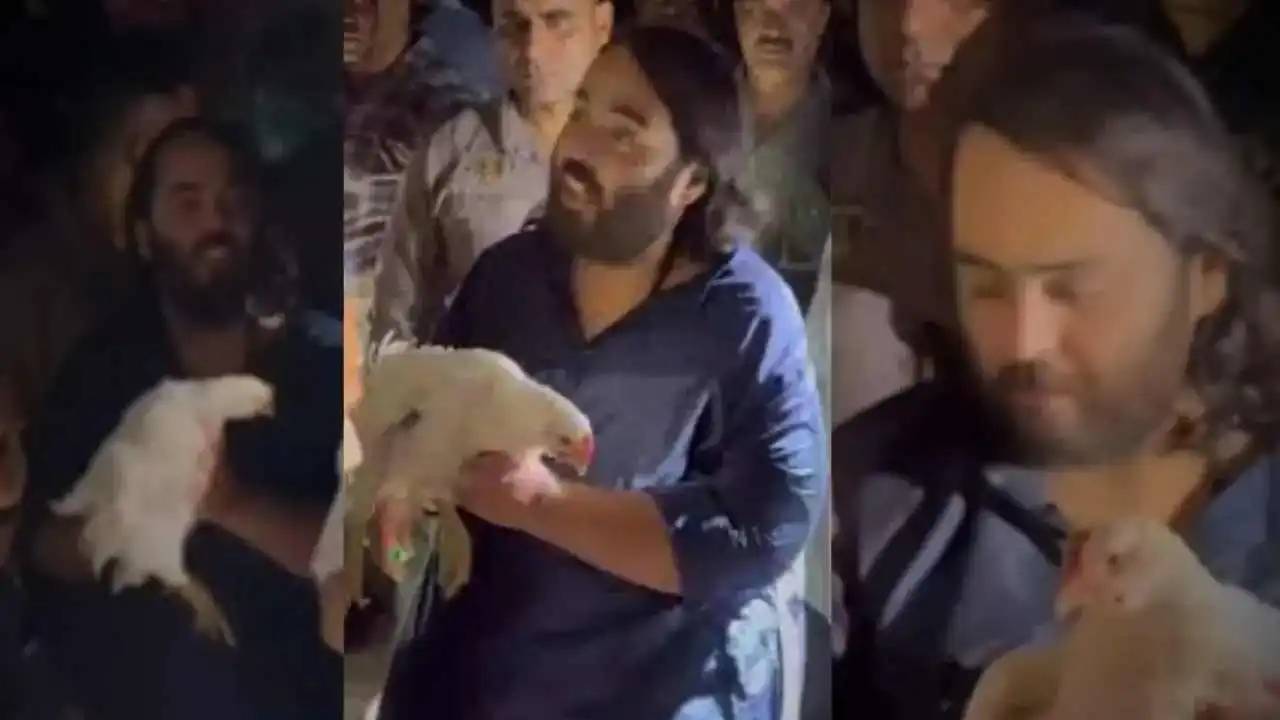 ২৫০ মুরগির জীবন বাঁচাতে লাখ টাকার খরচ! অনন্ত আম্বানির ব্যতিক্রমী সিদ্ধান্তে অবাক সবাই