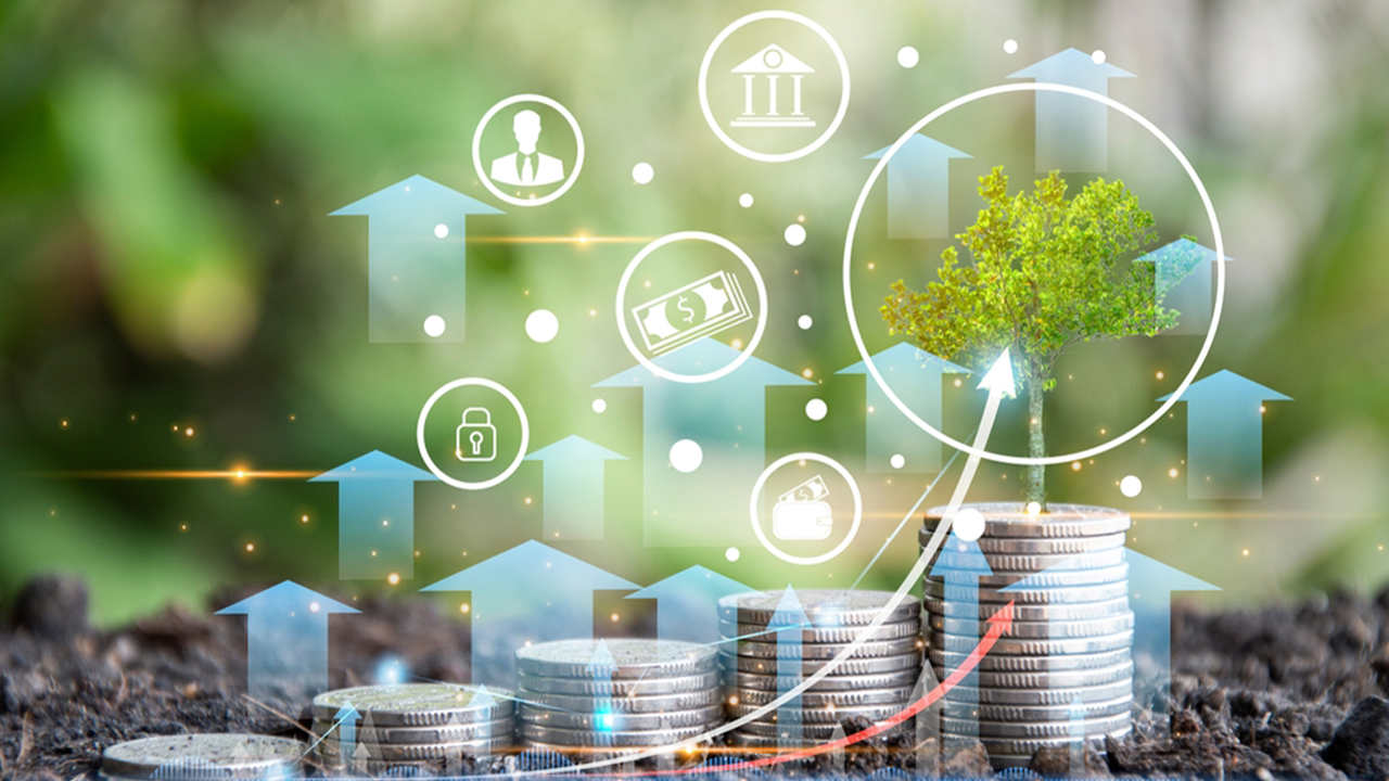 Profitable Agriculture Business Ideas for 2025: কৃষি ব্যবসায় লাভজনক সুযোগের ২৫টি চমকপ্রদ ধারণা যা আপনাকে সফলতার সিঁড়িতে নিয়ে যাবে! 6 Profitable Agriculture Business Ideas for 2025