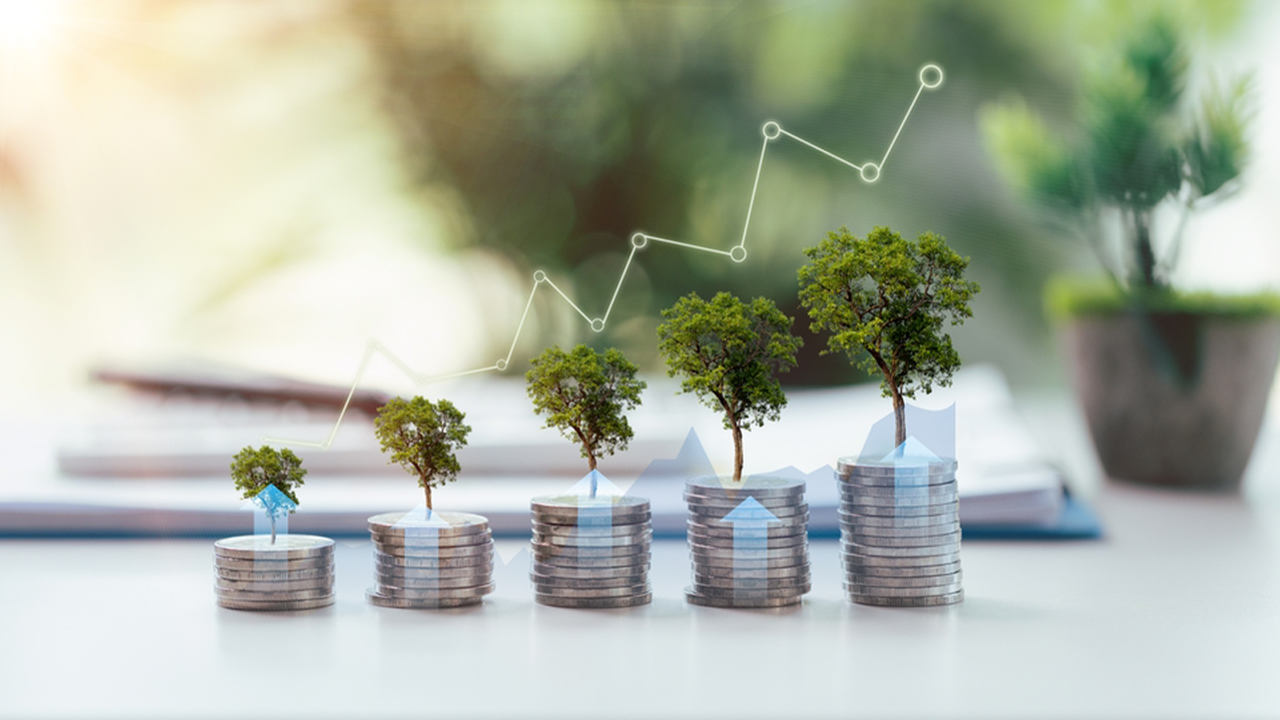 Profitable Agriculture Business Ideas for 2025: কৃষি ব্যবসায় লাভজনক সুযোগের ২৫টি চমকপ্রদ ধারণা যা আপনাকে সফলতার সিঁড়িতে নিয়ে যাবে! 5 Profitable Agriculture Business Ideas for 2025
