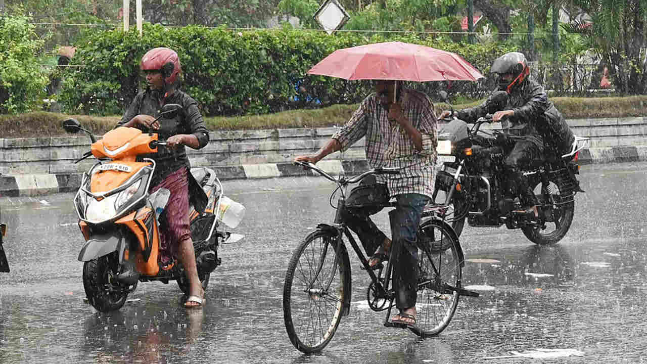 Bengal Weather Today