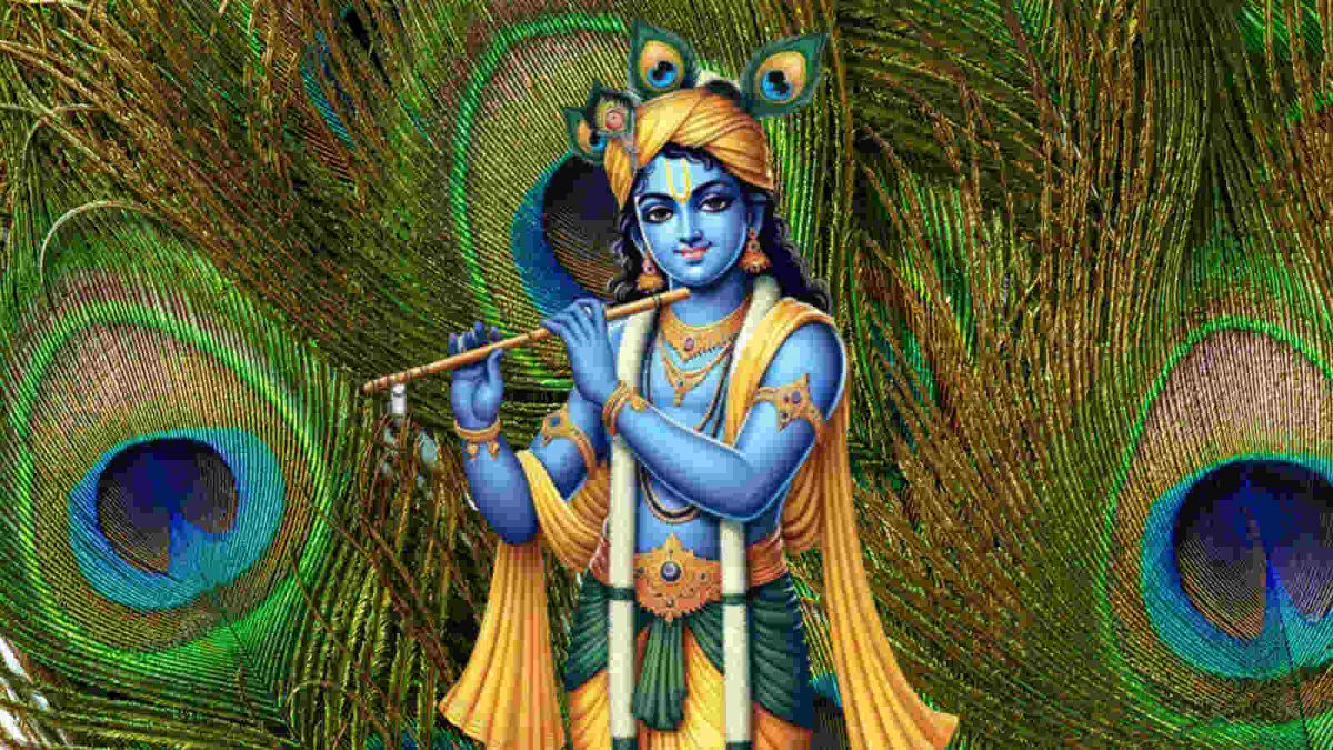 Peacock Feather Lucky Place 1