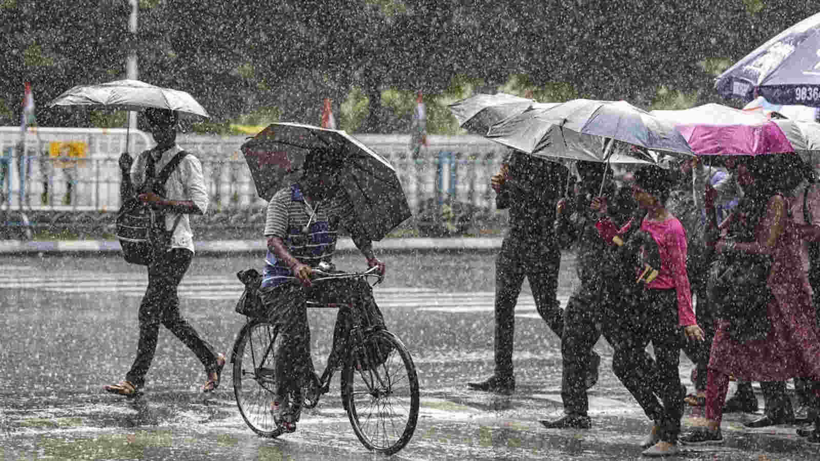 Weather News